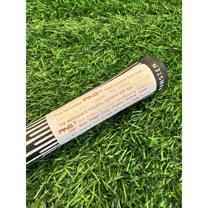 Ping ISI BeCu #5 Iron / Blue Dot / Stiff Flex Ping Z-Z65 Shaft (i255)